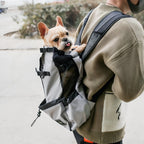 Chiusure di sicurezza zaino trasporto cani per avventure