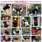 Cappotto Invernale 3-in-1 per Cani con Pettorina | Imbottito, Impermeabile e Antivento