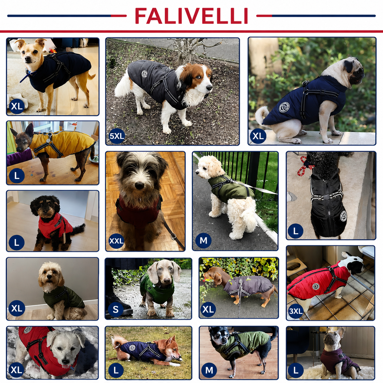 Cappotto Invernale 3-in-1 per Cani con Pettorina | Imbottito, Impermeabile e Antivento