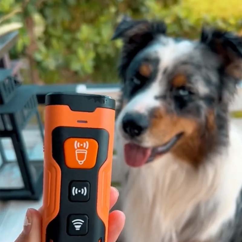 Addestramento cinofilo con dispositivo ultrasuoni FALIVELLI, ricarica USB e autonomia prolungata