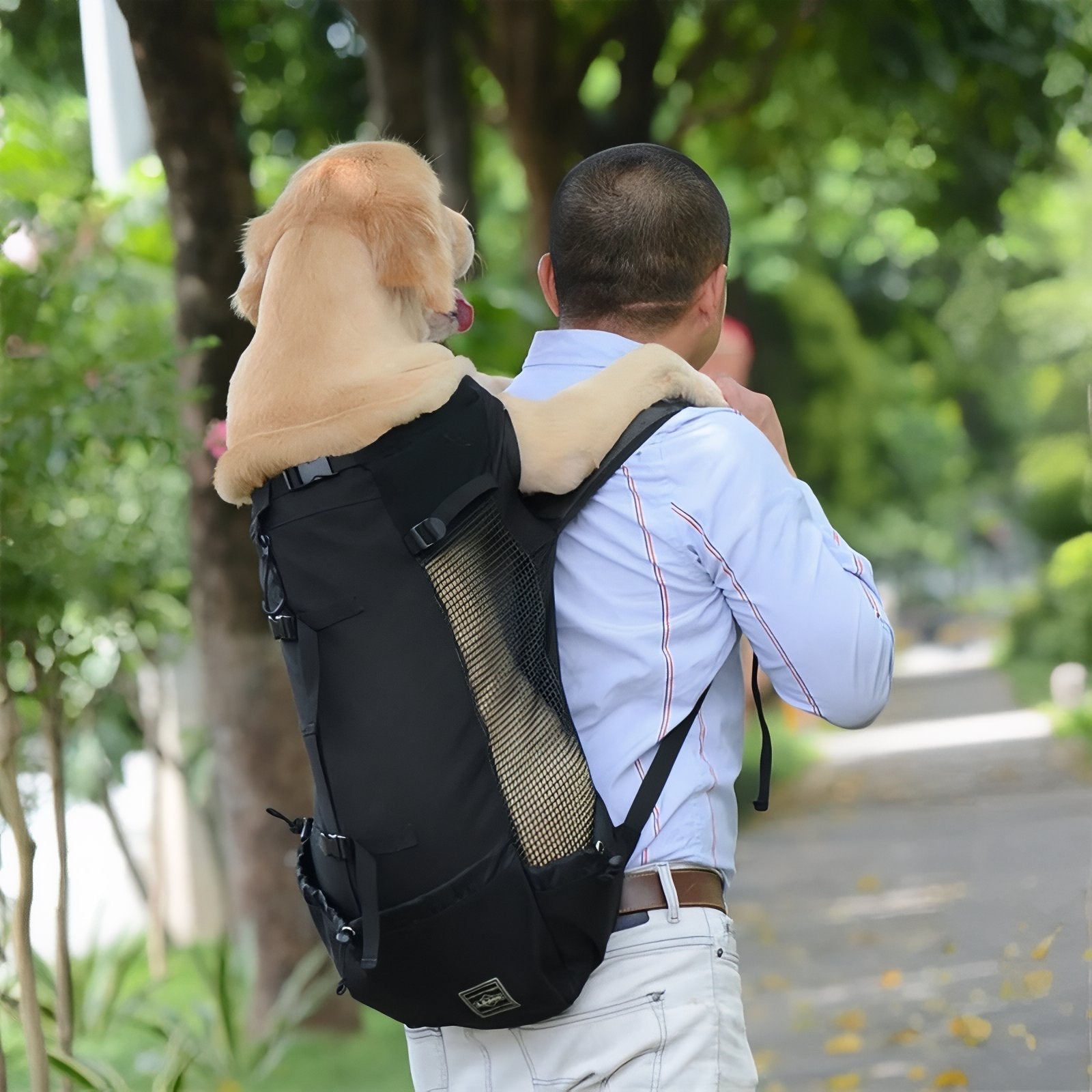 Dettaglio spallacci imbottiti zaino porta-cani per escursioni