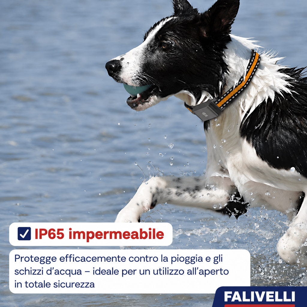 Collare GPS regolabile fino a 62 cm, leggero e confortevole per animali di ogni taglia