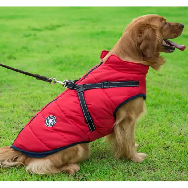 Cerniera di alta qualità resistente a vento e acqua del cappotto per cani