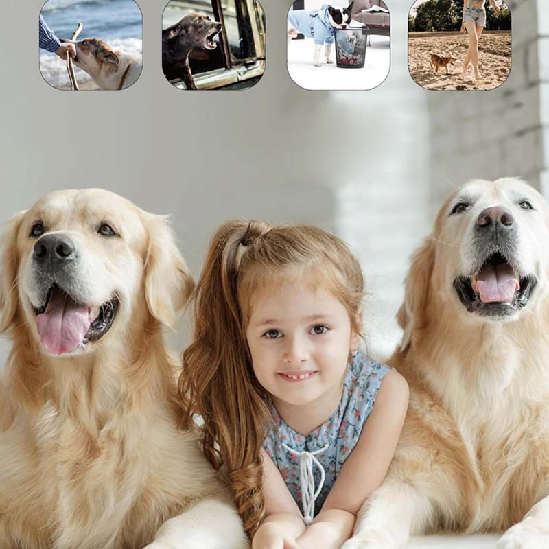 Repellente ultrasonico FALIVELLI disponibile in tre colori: arancione, grigio e nero per addestramento cani