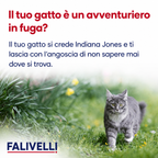 Tracker GPS Gatto Compatto – Localizzazione Mondiale Apple & Android Find My – Zero Abbonamenti