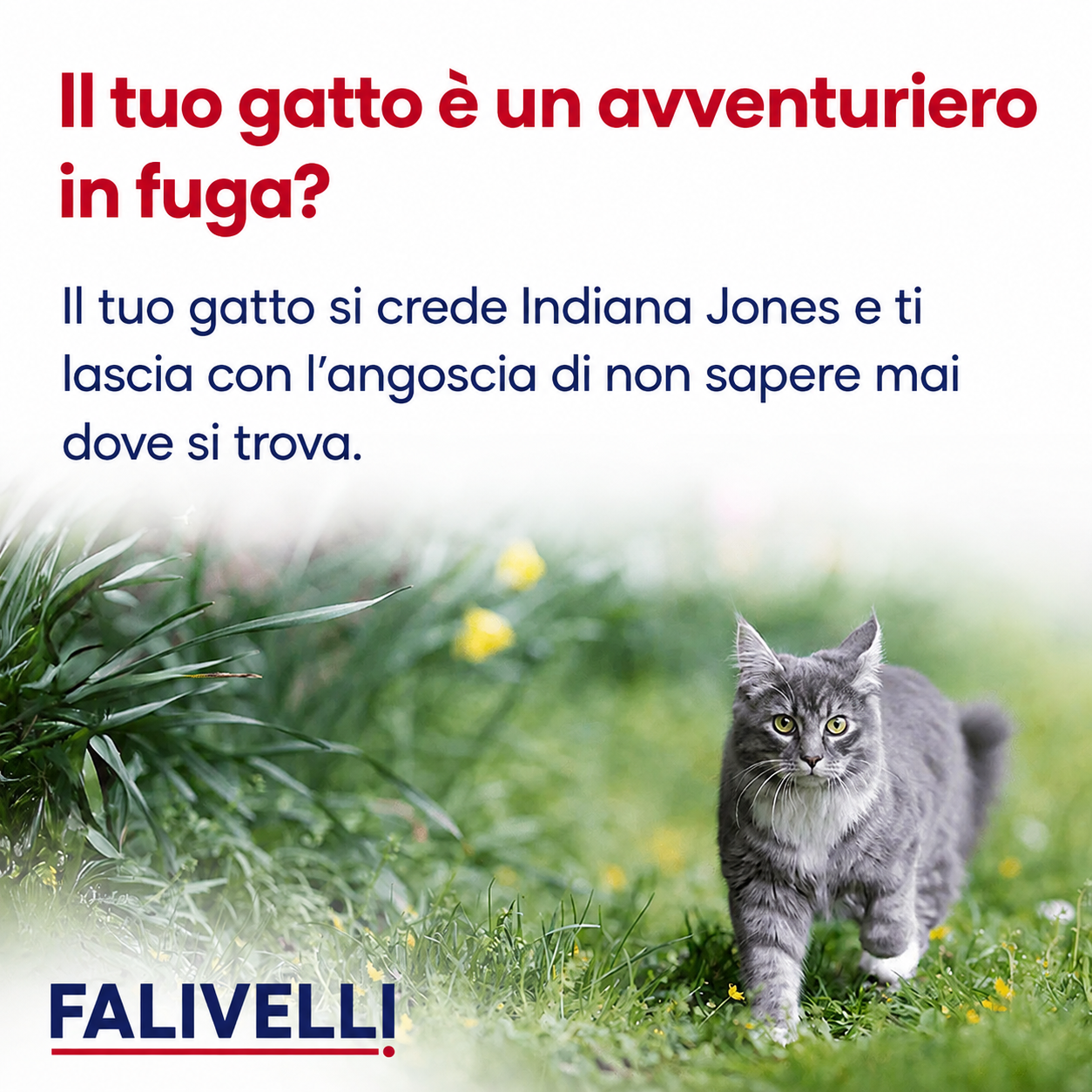 Tracker GPS Gatto Compatto – Localizzazione Mondiale Apple & Android Find My – Zero Abbonamenti