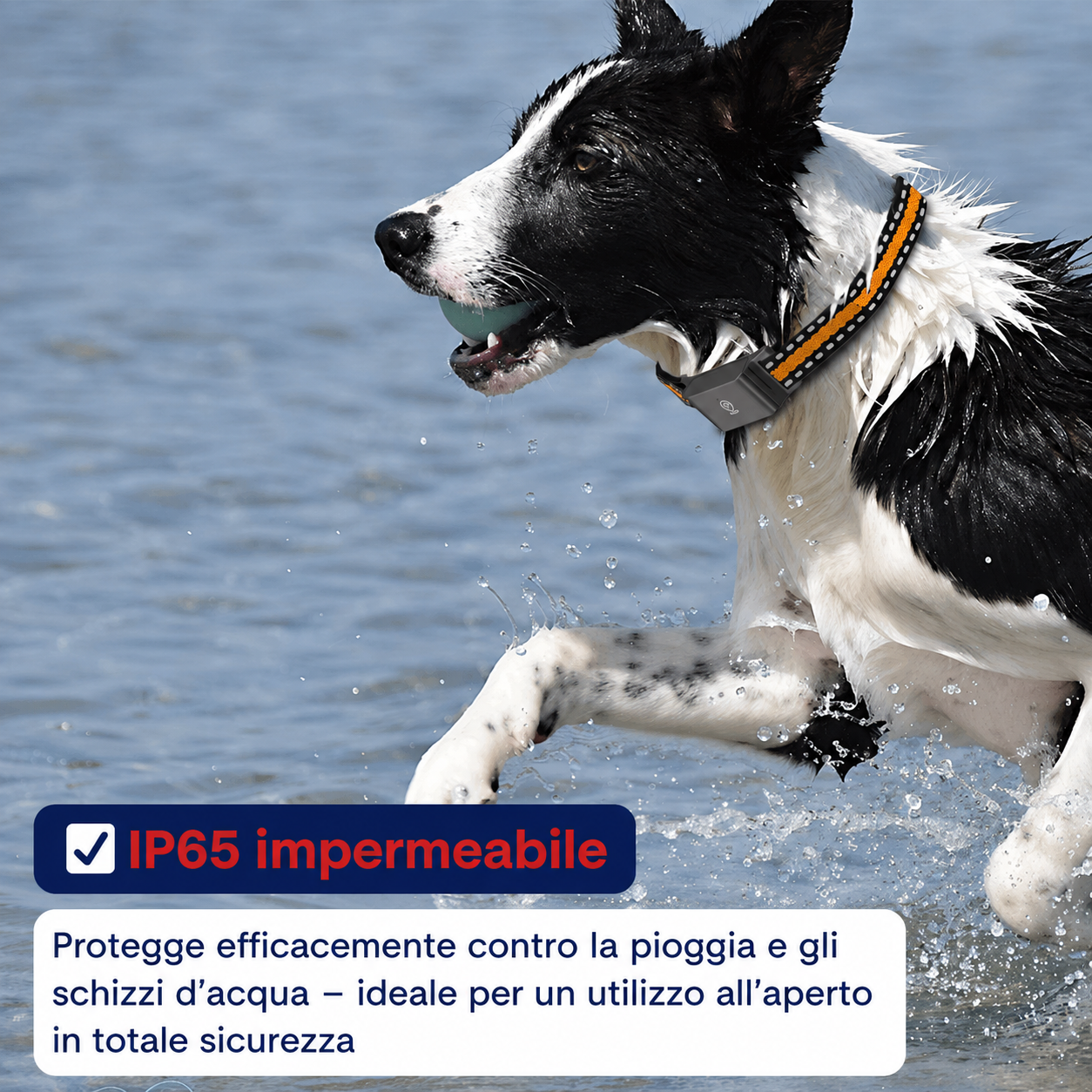 Tracker GPS per cani e gatti FALIVELLI con garanzia 30 giorni e supporto italiano