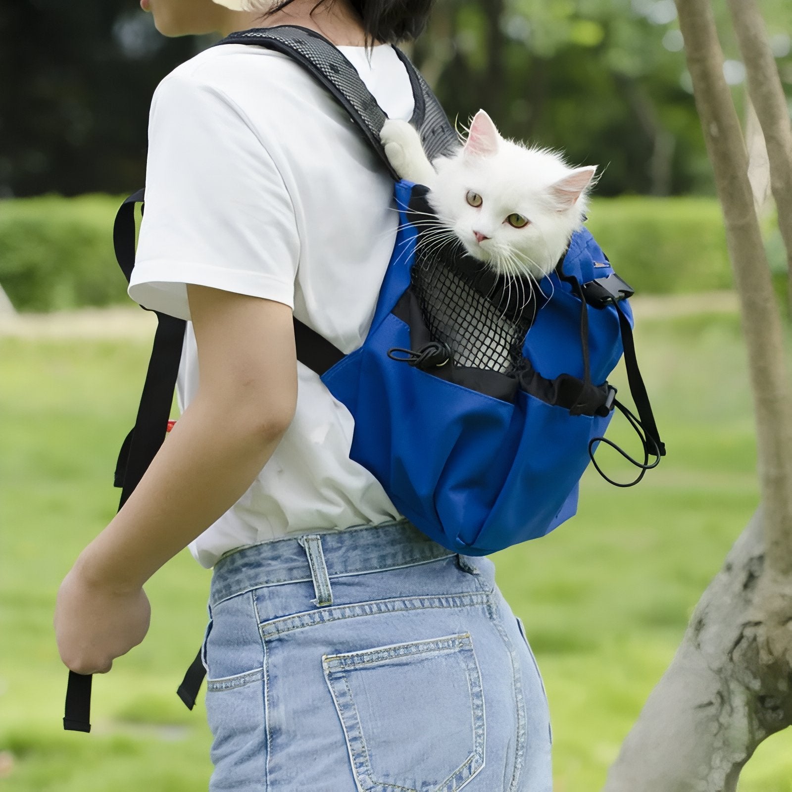 Cane di piccola taglia comodo nello zaino durante una camminata